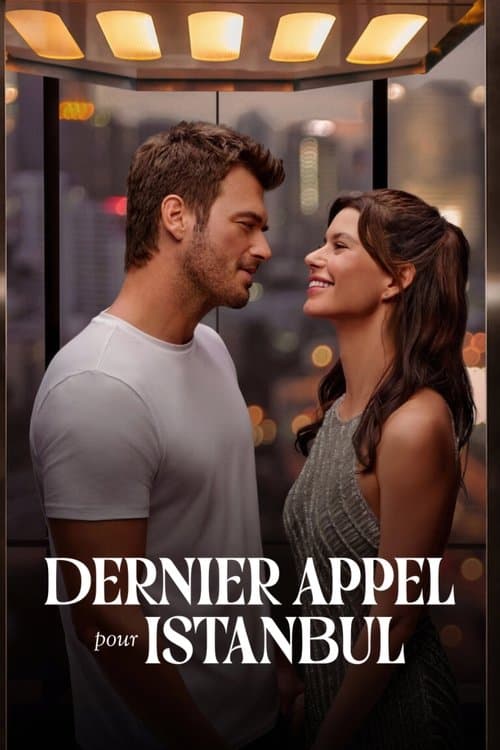 Affiche de Dernier appel pour Istanbul