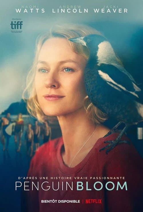Affiche de Penguin Bloom