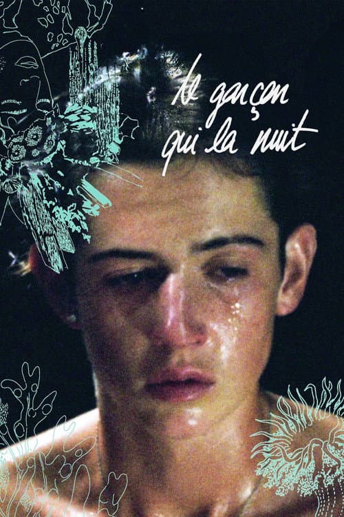 Affiche de Le garçon qui la nuit