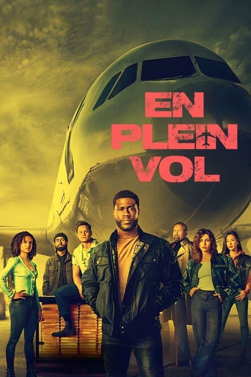 Affiche de En plein vol