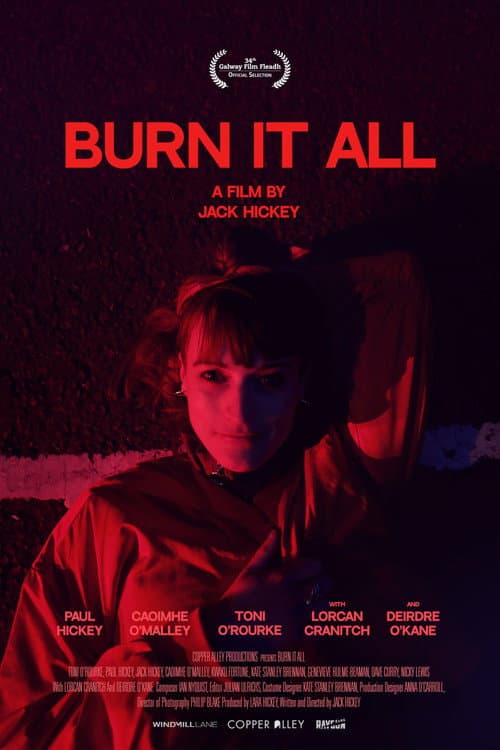 Affiche de Brûle tout