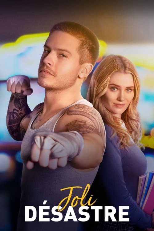 Affiche de Joli Désastre