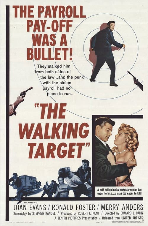 Affiche de The Walking Target