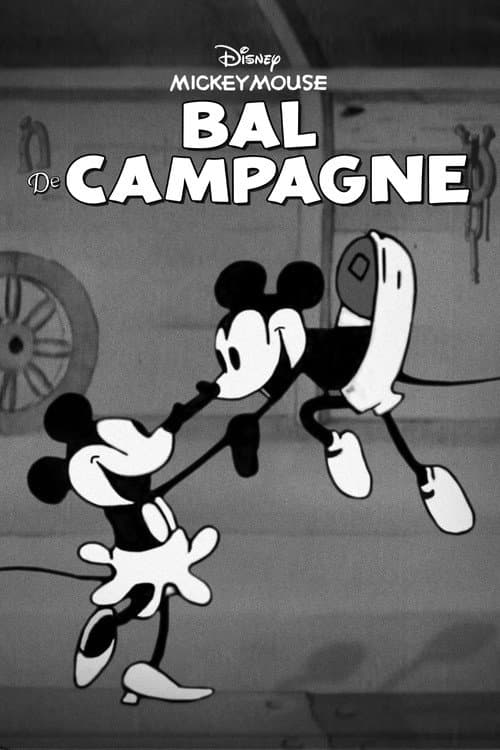 Affiche de Bal de campagne