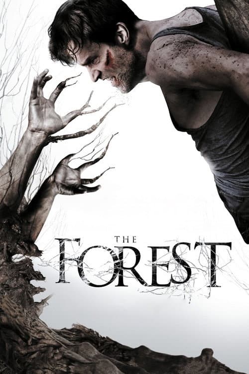 Affiche de The Forest