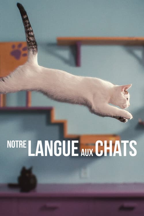 Affiche de Notre langue aux chats