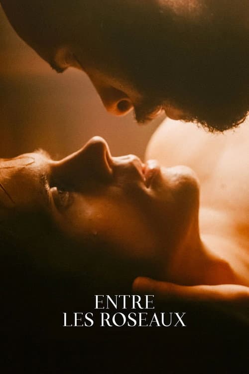 Affiche de Entre les roseaux