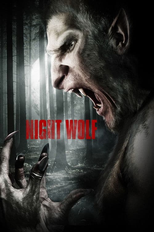 Affiche de Night Wolf