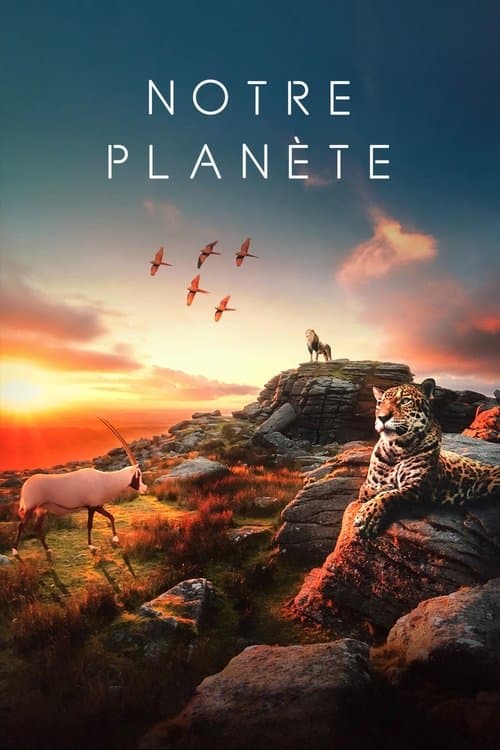 Affiche de Notre planète