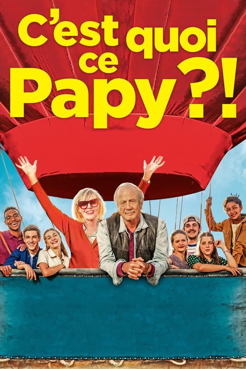 Affiche de C'est quoi ce papy ?!