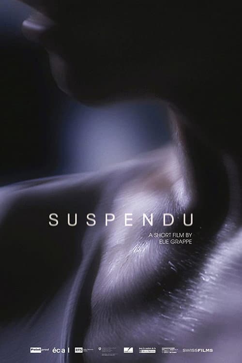 Affiche de Suspendu