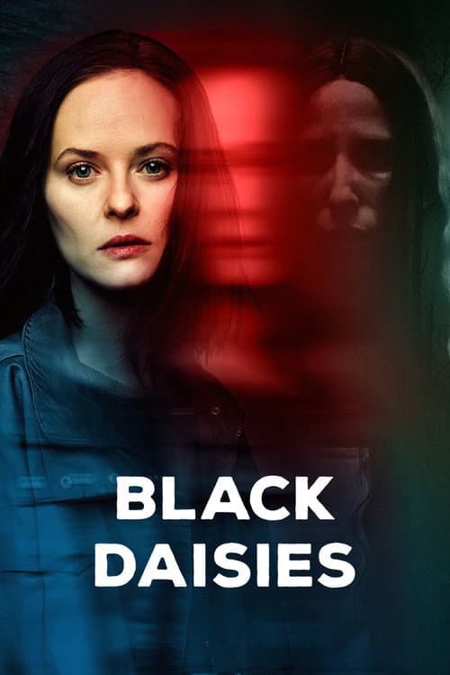 Affiche de Black Daisies