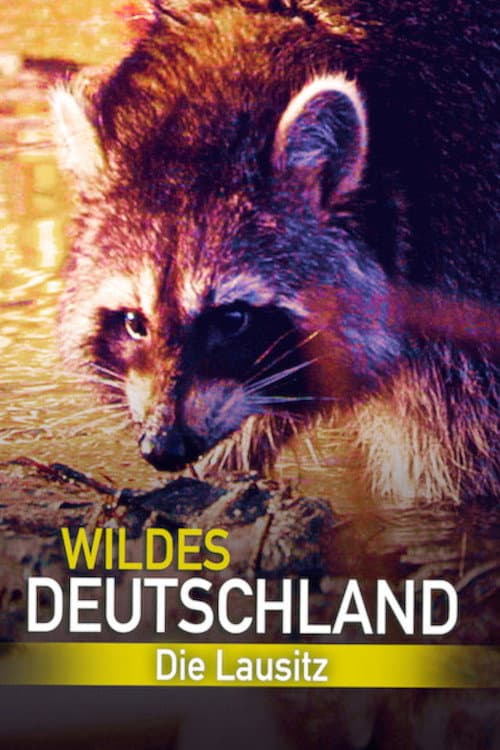 Affiche de L'Allemagne sauvage : La Lusace
