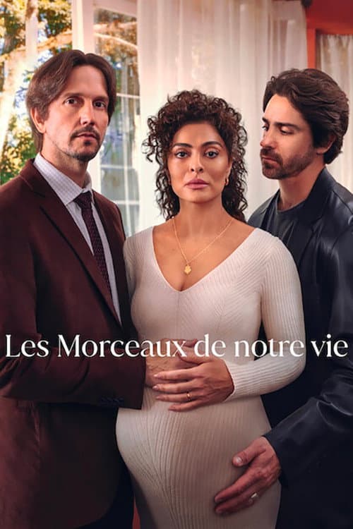 Affiche de Les Morceaux de notre vie