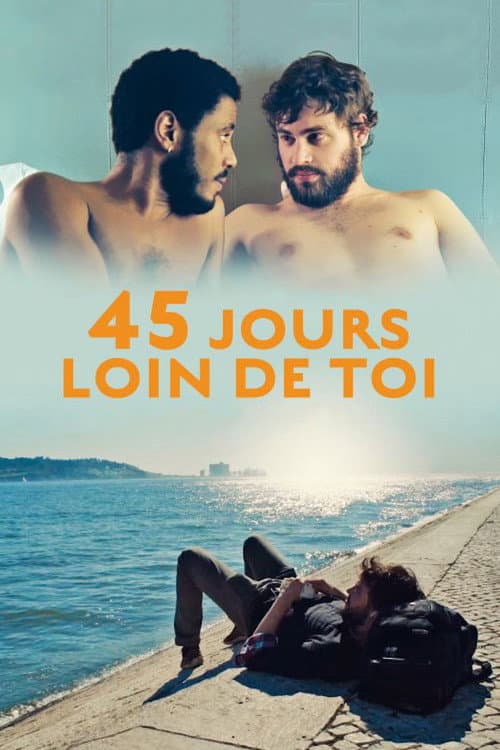 Affiche de 45 jours loin de toi