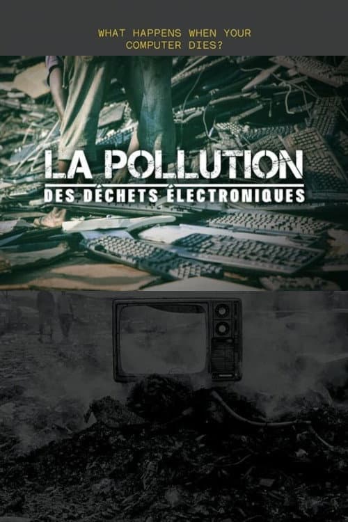 Affiche de La Pollution des déchets électroniques