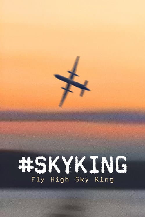Affiche de #SKYKING