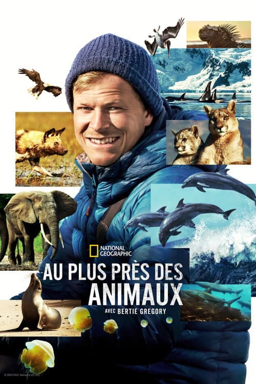 Affiche de Au plus près des animaux avec Bertie Gregory