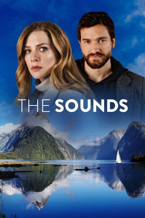 Affiche de The Sounds