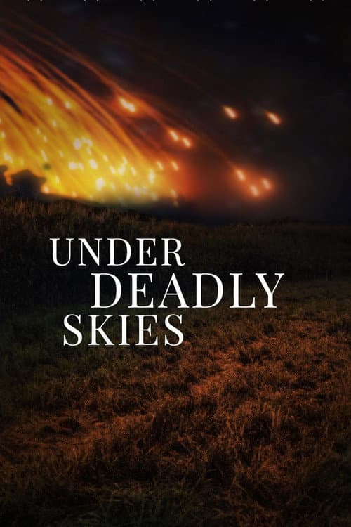 Affiche de Under Deadly Skies: Ukraine's Eastern Front