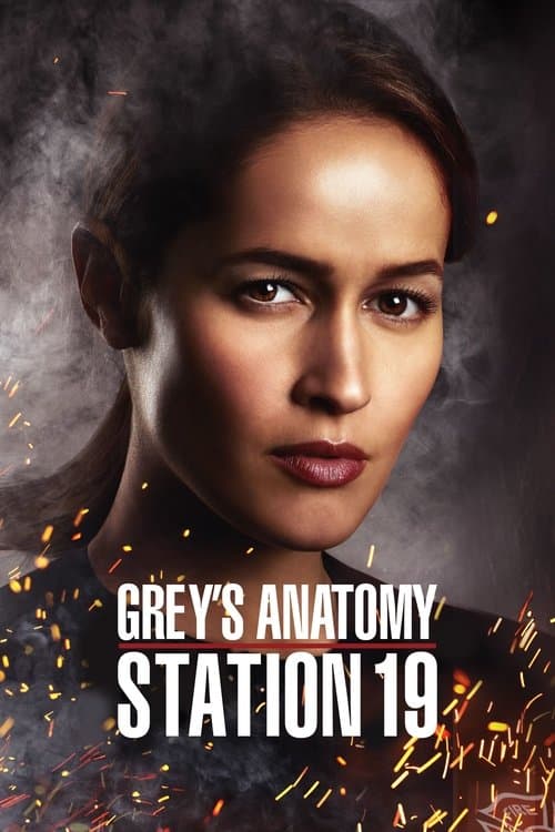 Affiche de Grey's Anatomy : Station 19