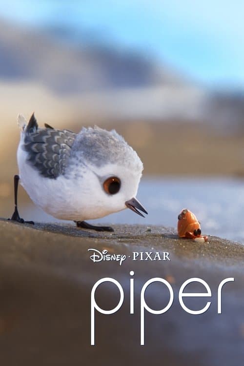 Affiche de Piper