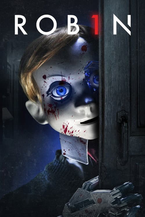 Affiche de Rob1n