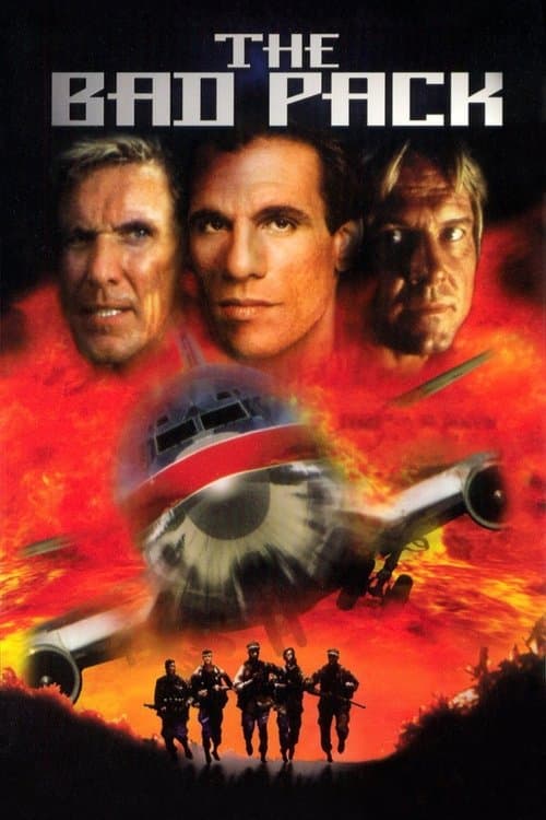 Affiche de Ultime combat