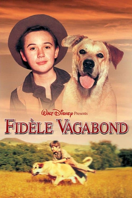 Affiche de Fidèle vagabond