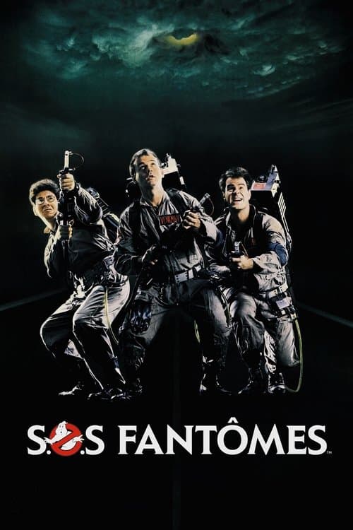 Affiche de S.O.S. Fantômes