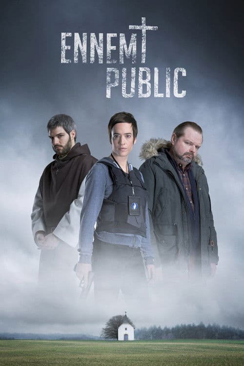 Affiche de Ennemi public