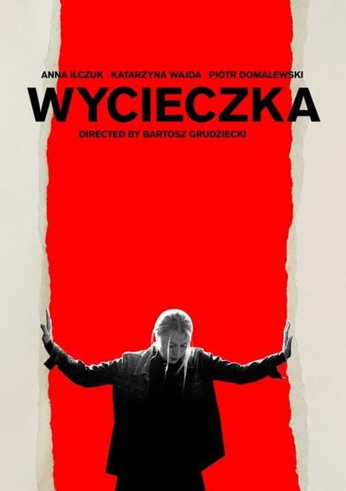 Affiche de Dans la brèche