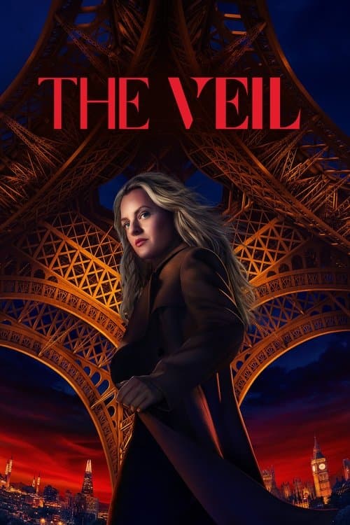 Affiche de The Veil