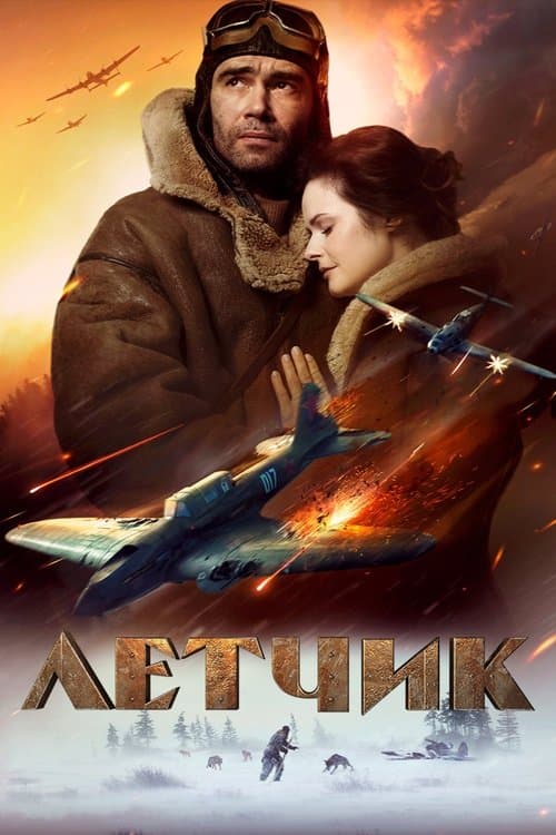 Affiche de The Pilot : A Battle for Survival