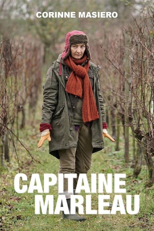 Affiche de Capitaine Marleau