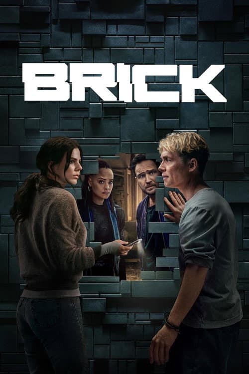 Affiche de Brick