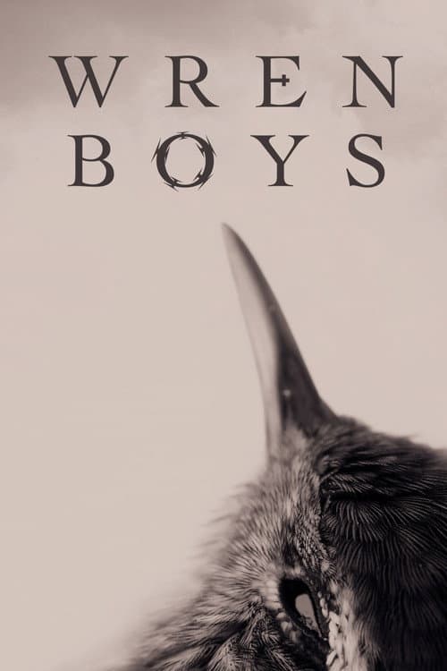 Affiche de Wren Boys