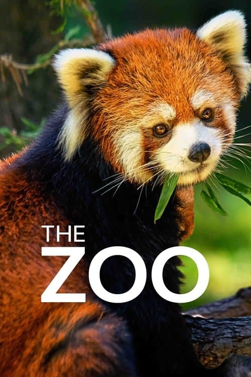 Affiche de Le Zoo du Bronx