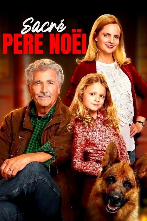 Affiche de Sacré Père Noël