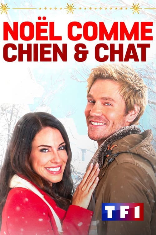 Affiche de Noël comme chien et chat