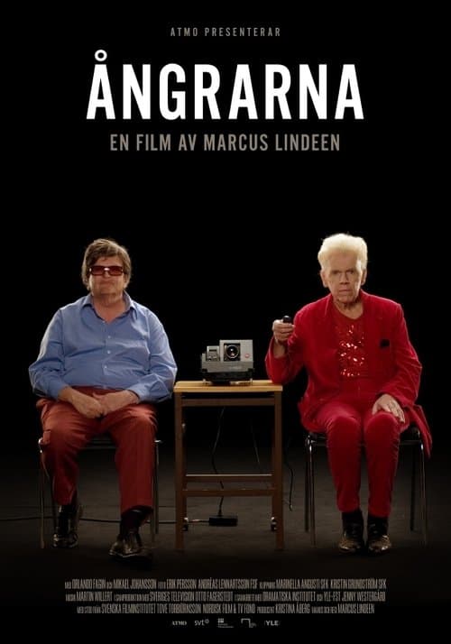 Affiche de Ångrarna