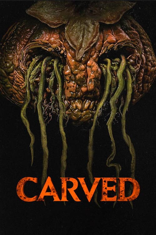 Affiche de Carved
