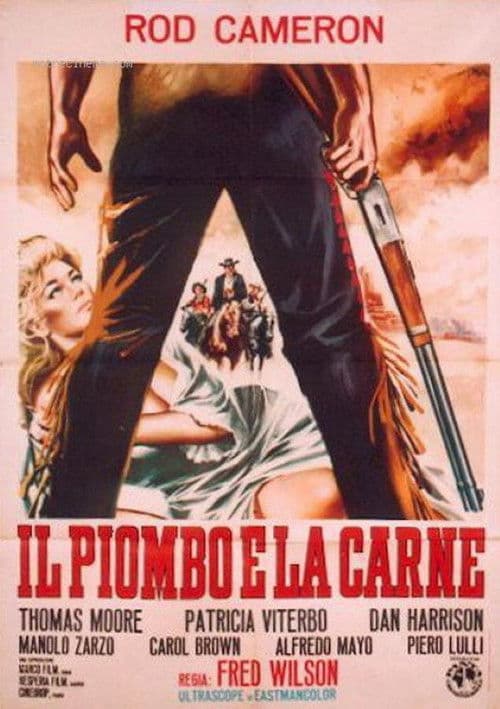Affiche de Les sentiers de la haine