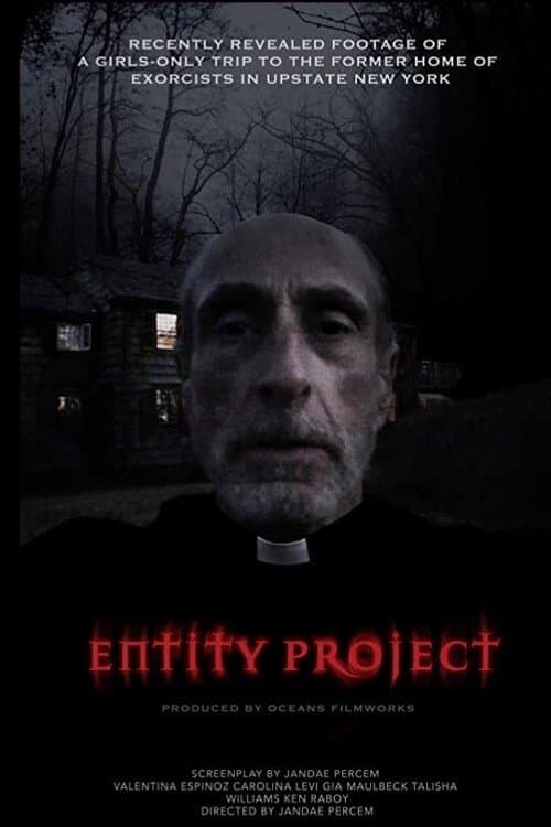Affiche de Projet D'entité