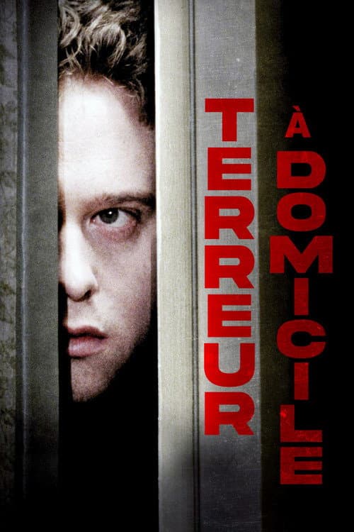 Affiche de Terreur a domicile