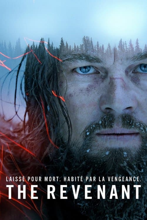 Affiche de The Revenant