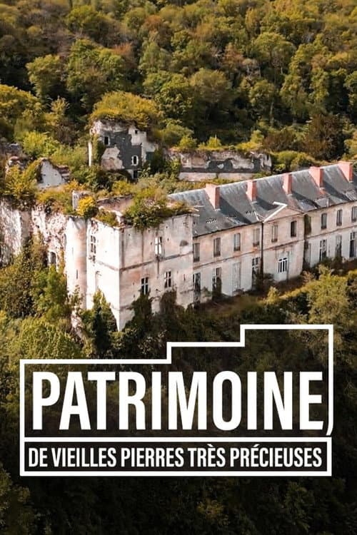 Affiche de Patrimoine, de vieilles pierres très précieuses