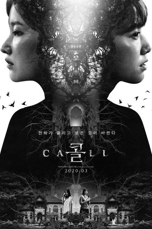 Affiche de The Call