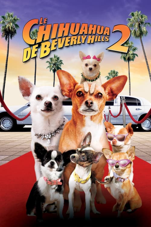 Affiche de Le Chihuahua de Beverly Hills 2