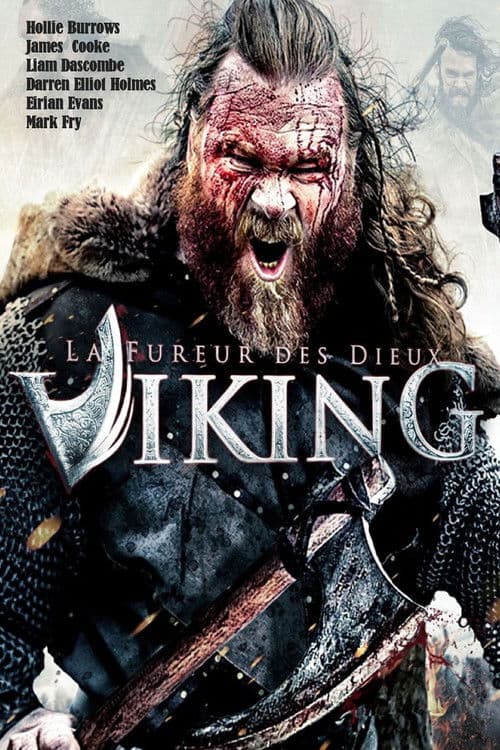 Affiche de Viking : La fureur des dieux